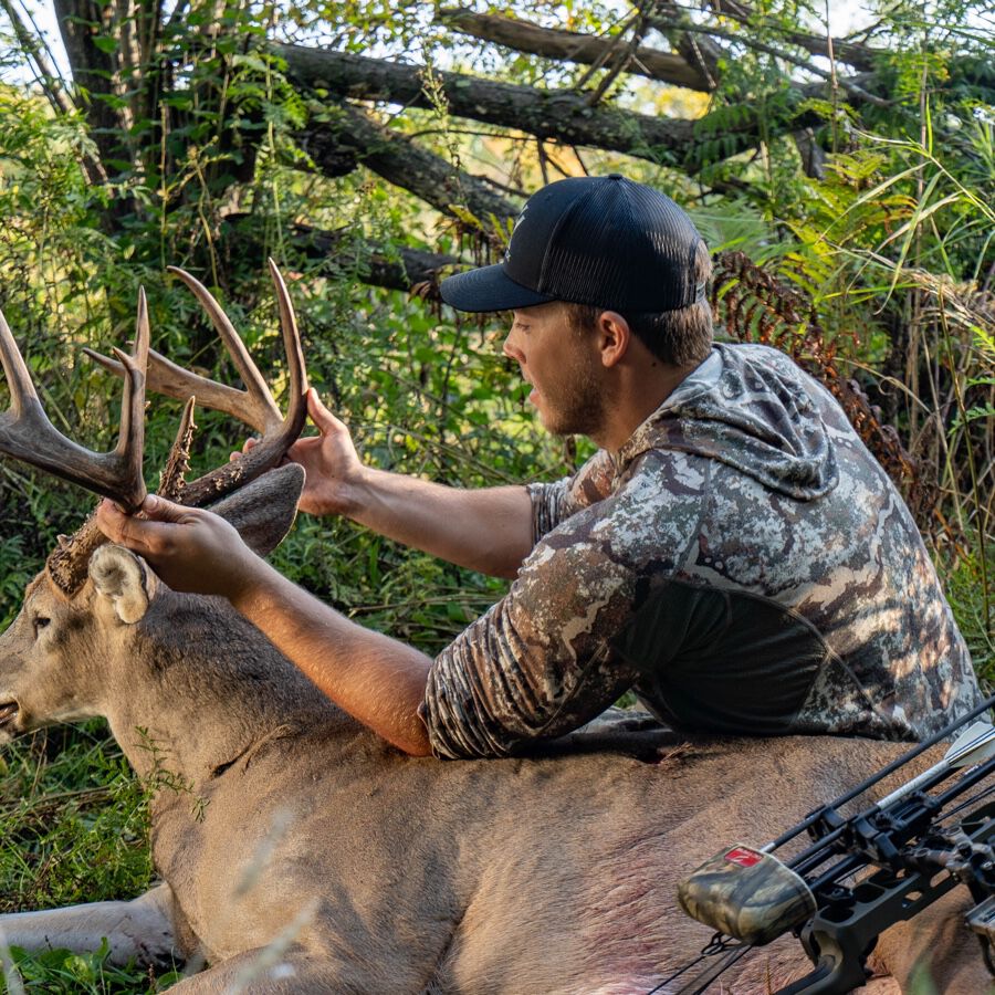 Early Season Whitetail